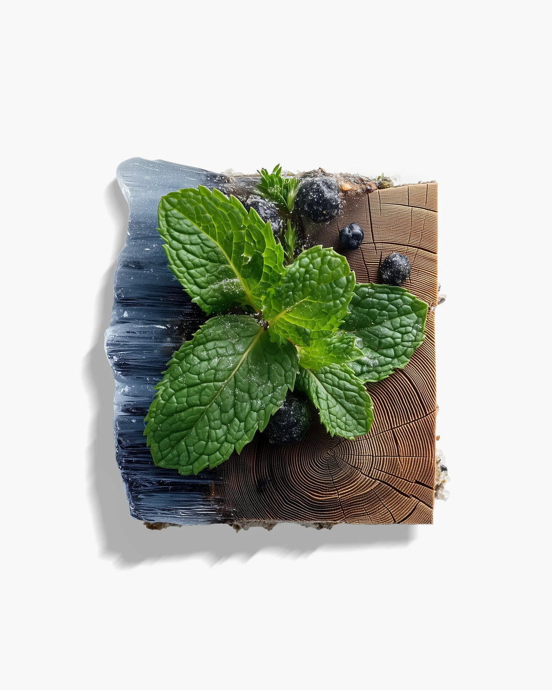 ICED OUD KHALID